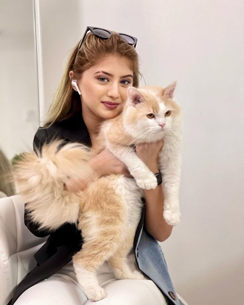 Arishfa Khan Age, Height, Boyfriend, Parents, Sister, Net Worth 6 Arishfa khan's Cat