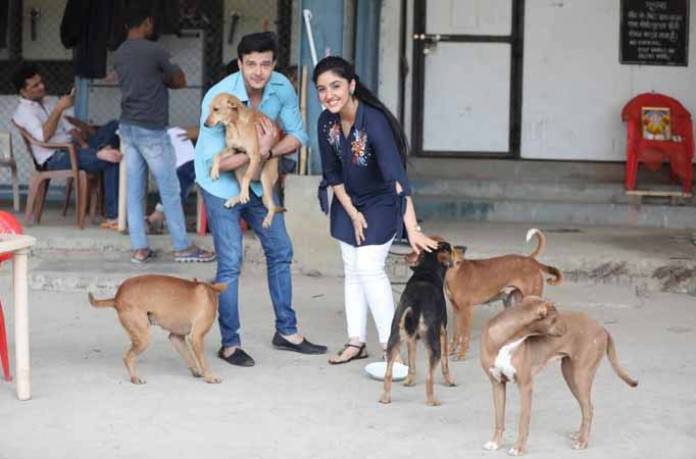 Ashnoor kaur playing with dogs on the set of patiala babes