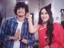 Bhavin Bhanushali Biography (Famous TikToker) - Tv Shows, Debut, Girlfriend 4 Bhavin Bhanushali in tv show chidiya ghar