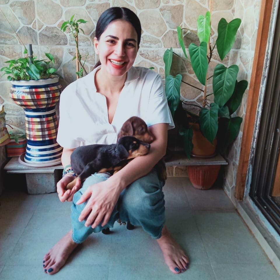 Kirti Kulhari Age, Height, Husband, Family, Web Series, Movies, Net Worth 22 Kirti Kulhari dogs Tom and Jerry
