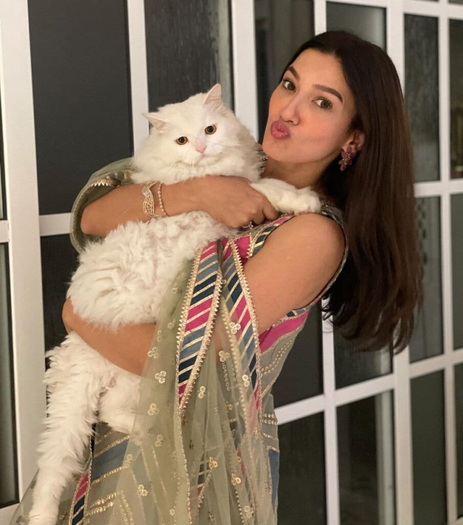 Gauhar Khan's cat named Snow