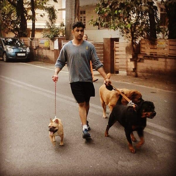 Amit Sadh Pet Dogs