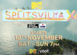 Splitsvilla season 14