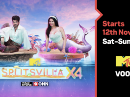 MTV Splitsvilla 14 promotion - news