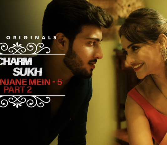 Charmsukh Jane Anjane Mein cast