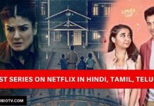 best web series on Netflix in Hindi, English, Tamil, Telugu and Malayalam