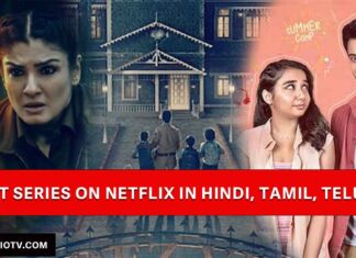 best web series on Netflix in Hindi, English, Tamil, Telugu and Malayalam