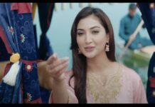 Pashmina Tv Serial Cast