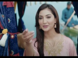 Pashmina Tv Serial Cast