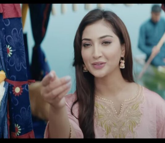 Pashmina Tv Serial Cast