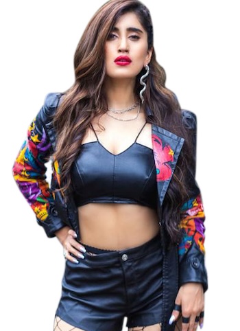 Chamak Web Series Cast 2023 (SonyLiv), Actors, Story, Role, Release Date 4 Akasa Singh, a singer and actor is also playing a prominent role in SonyLiv's upcoming web series 'Chamak'.