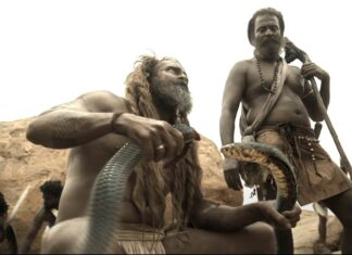 Thangalaan movie teaser latest update