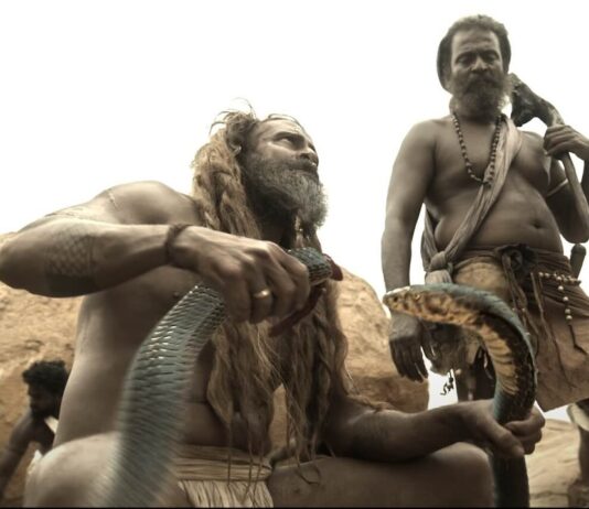 Thangalaan movie teaser latest update