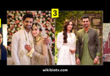 Shoaib Malik, Sana Javed, Sania Mirza and Everything We Know about His Current Wife and Ex Wives