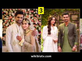 Shoaib Malik, Sana Javed, Sania Mirza and Everything We Know about His Current Wife and Ex Wives