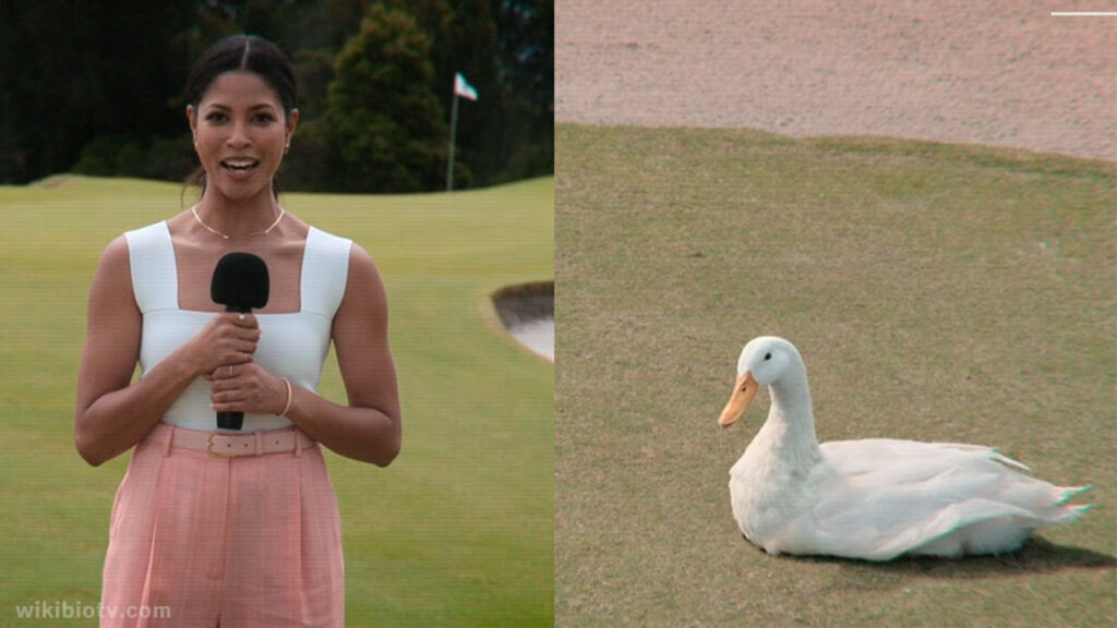 Dean's wife reporting scene where a duck is sitting on a golf ball from past 6 days