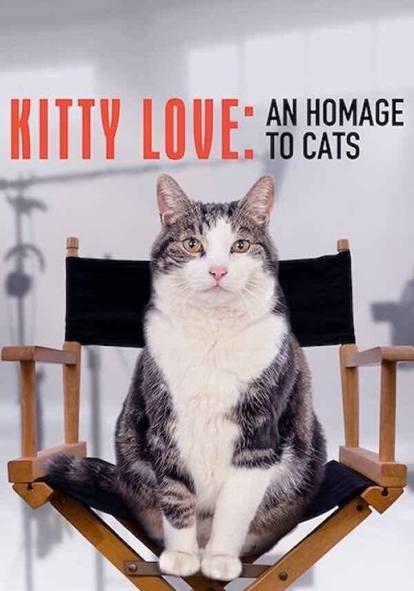 Kitty Love: An Homage to Cat (2020) - A Netflix Film based on Cats