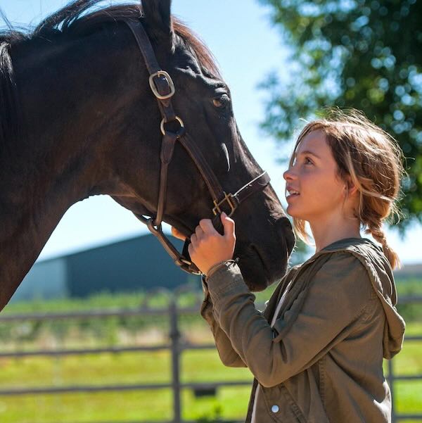 Rock My Heart - A movie made on Human and Horse relationship