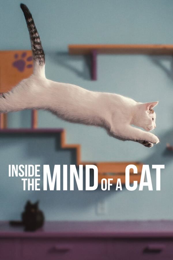 Inside the Mind of a Cat (2022) - Streaming on Netflix