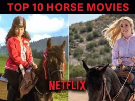 Top 10 horse movies on Netflix