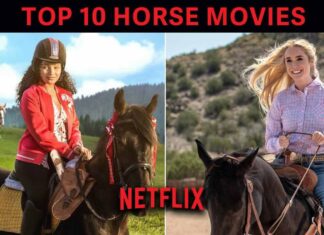 Top 10 horse movies on Netflix