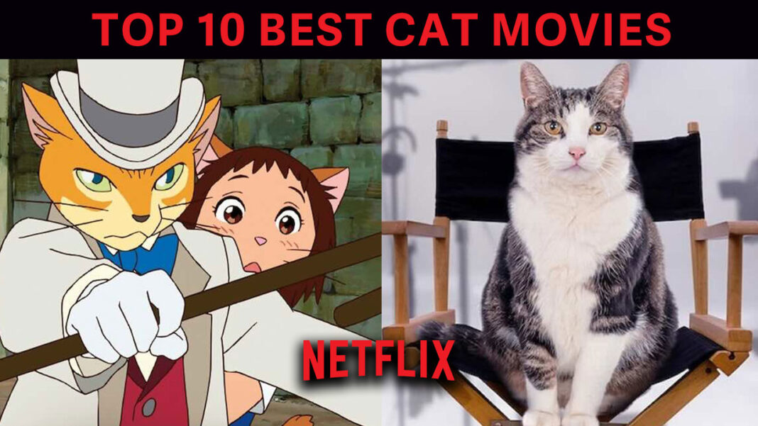 Top 10 Cat Movies on Netflix