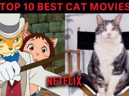 Top 10 Cat Movies on Netflix