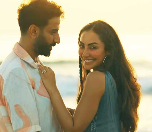 Honeymoonish Plot and Ending Explained